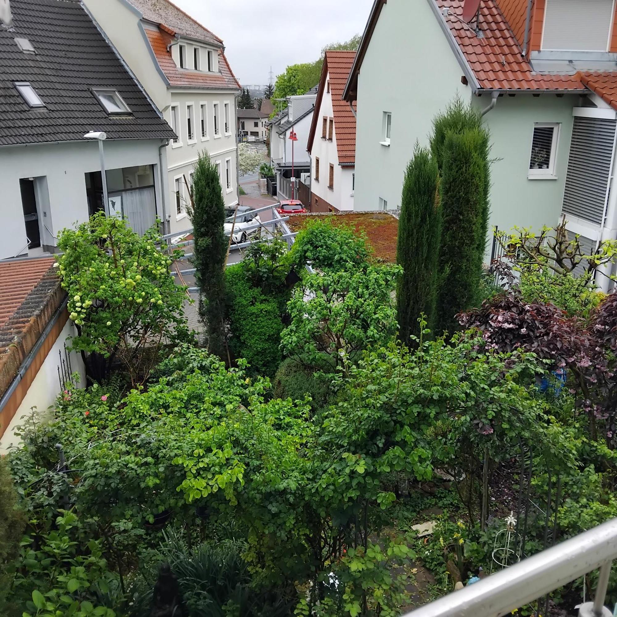 Ferienwohnung Residenz am Berg Leimen  Exterior foto